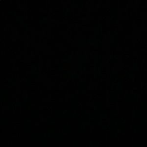 Meet your Posher, Bailey